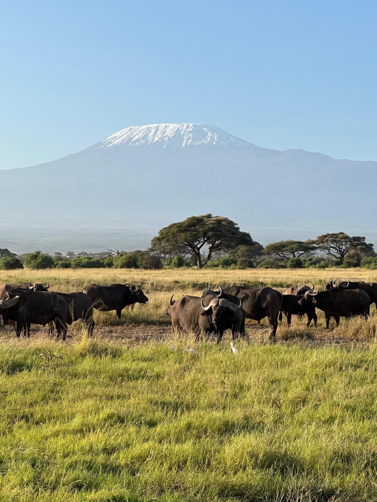 Amboseli