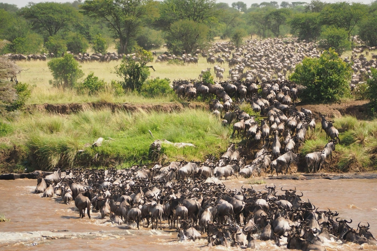 Great Migration